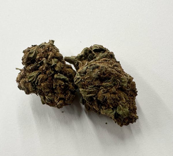 Bang For Your Buck Cannabis - Durban Poison