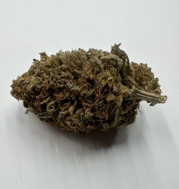 Bang For Your Buck Cannabis - Golden Goat