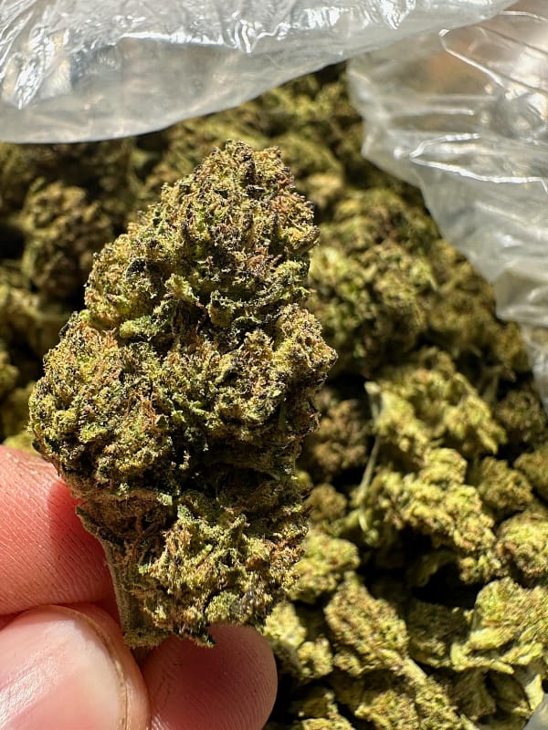 Lemondrop